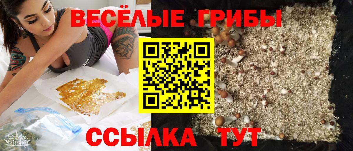 Галлюциногенные грибы Psilocybe  как найти закладки  Великие Луки  Псилоцибиновые грибы Cubensis  Вход с VPN 